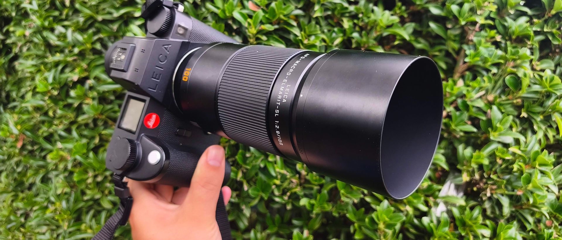 Leica APO-Macro-Elmarit-SL 100 f/2.8 review