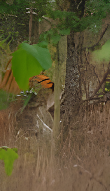 Unfiltered wildlife encounters in the wild