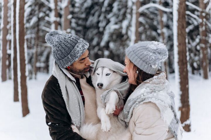 7 things you’ll understand only after getting a dog