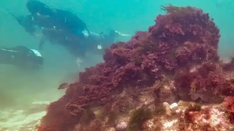 Divers found a lost medieval town 1,300 feet off England’s coast, but ...