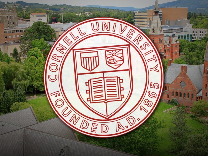 Alleged Cornell gang rape: Two accused frat brothers still enrolled as ...