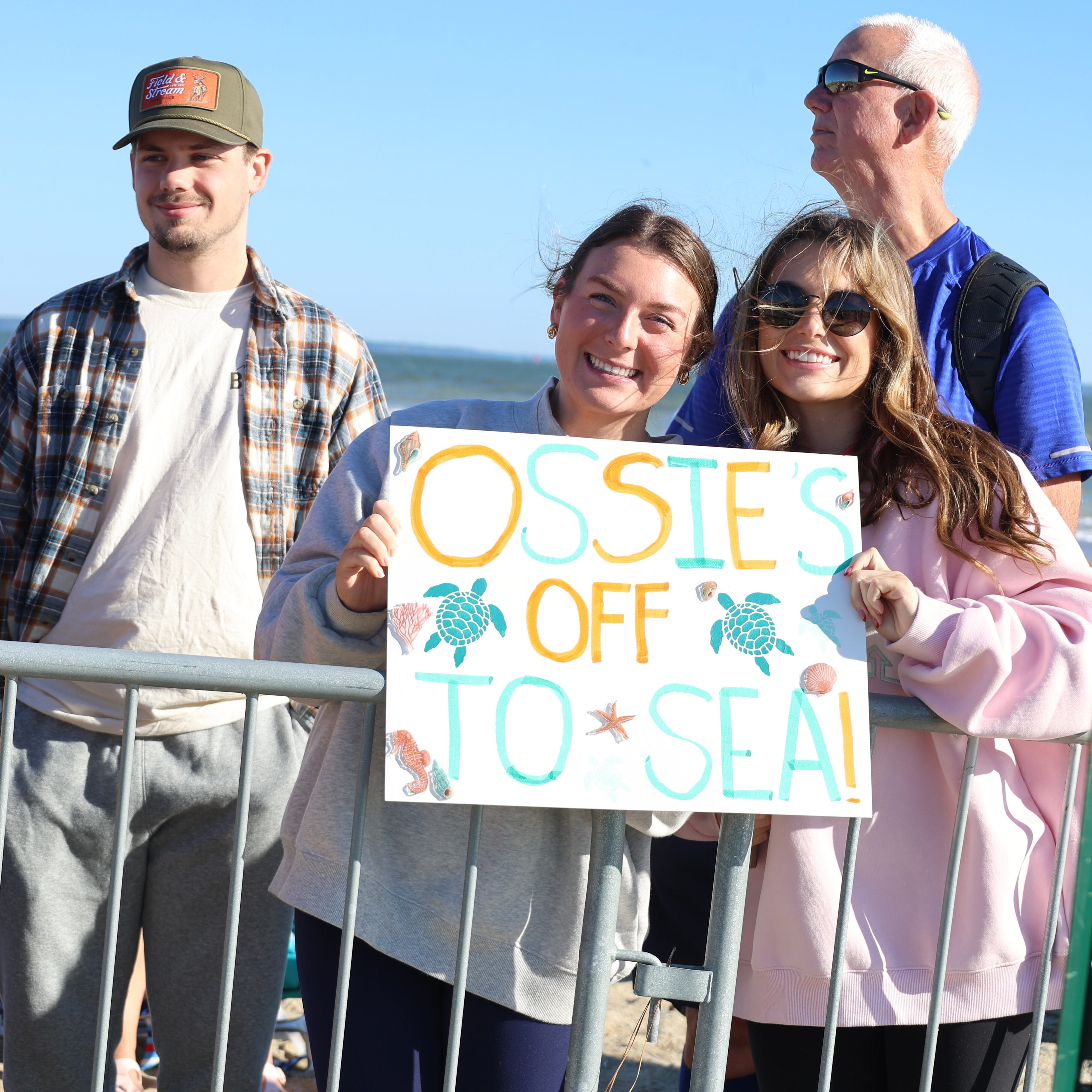 Tybee Island Marine Science Center releases loggerhead sea turtle ...