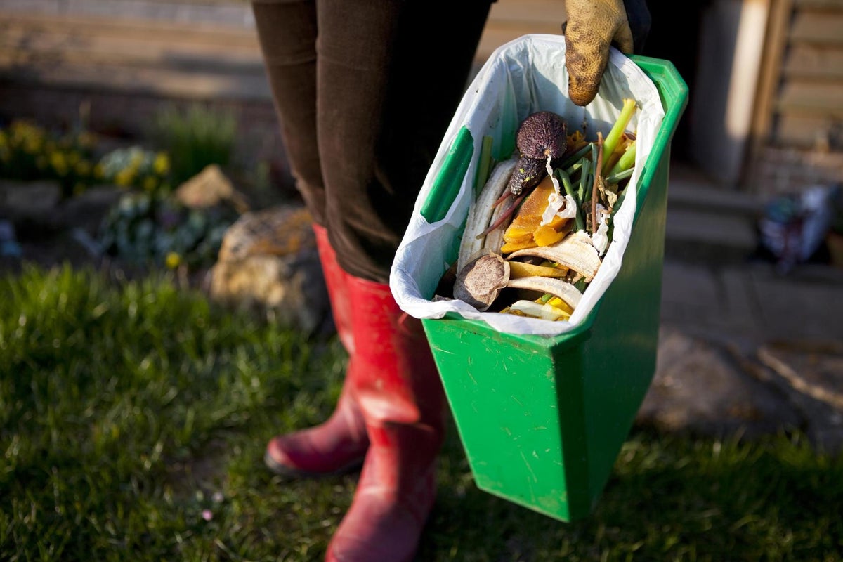What to put in your compost bin – and five things to always leave out