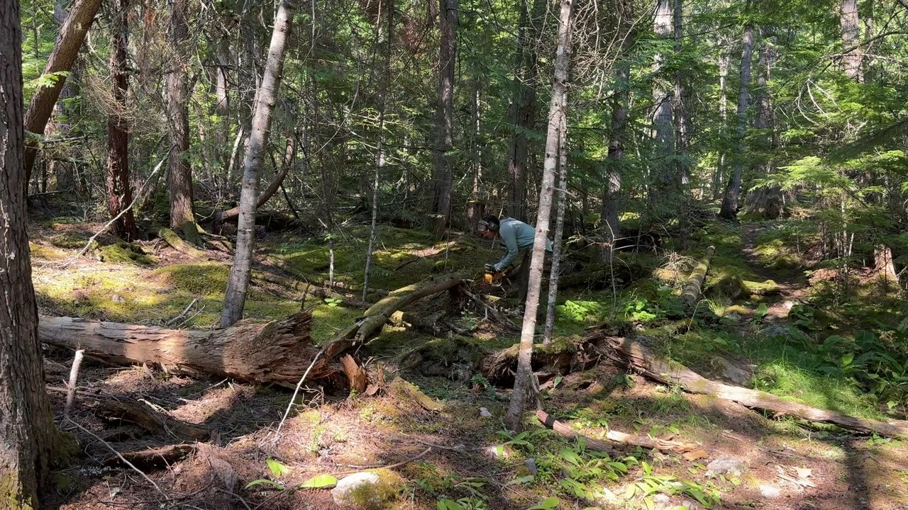 She tried clearing 15 acres of mountain forest alone… then heard trees ...