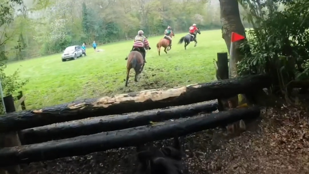 Equestrian and her horse take a rough spill at the hurdle
