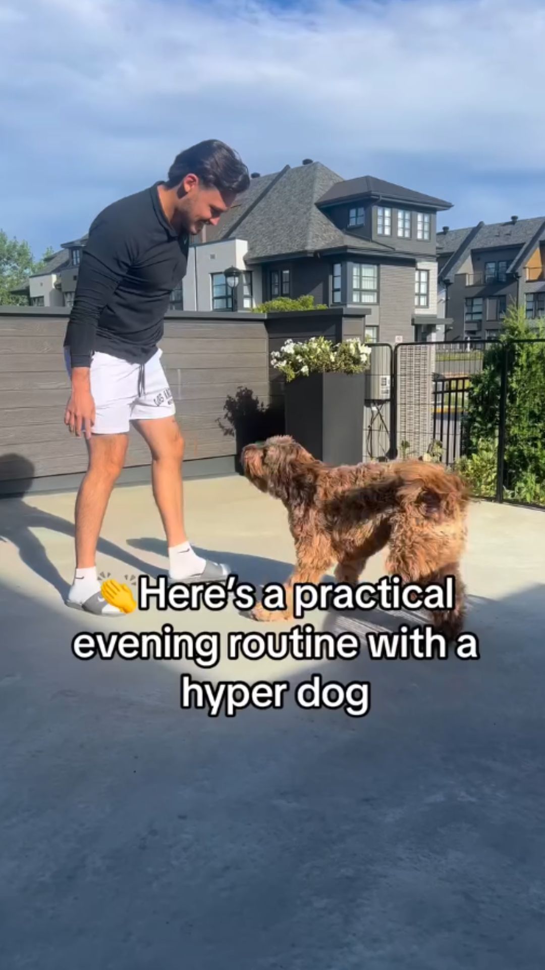 Evening routine tips for life with a high energy dog