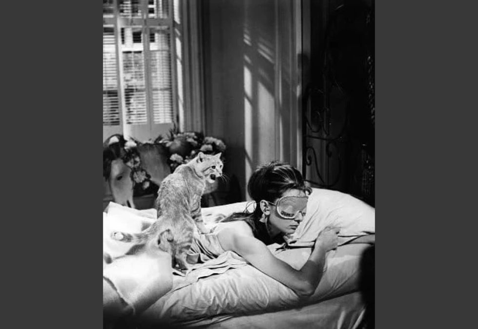 19 beloved animal actors movie fans still remember