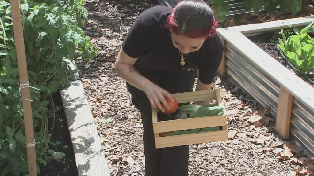 Catering company turns empty lot into community garden in West Philadelphia