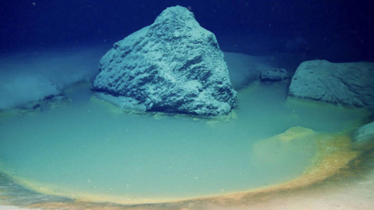 Las cámaras a bordo de un vehículo submarino operado remotamente (ROV) Mariner XL Argus capturaron imágenes de esta letal poza de salmuera (OceanXplorer)