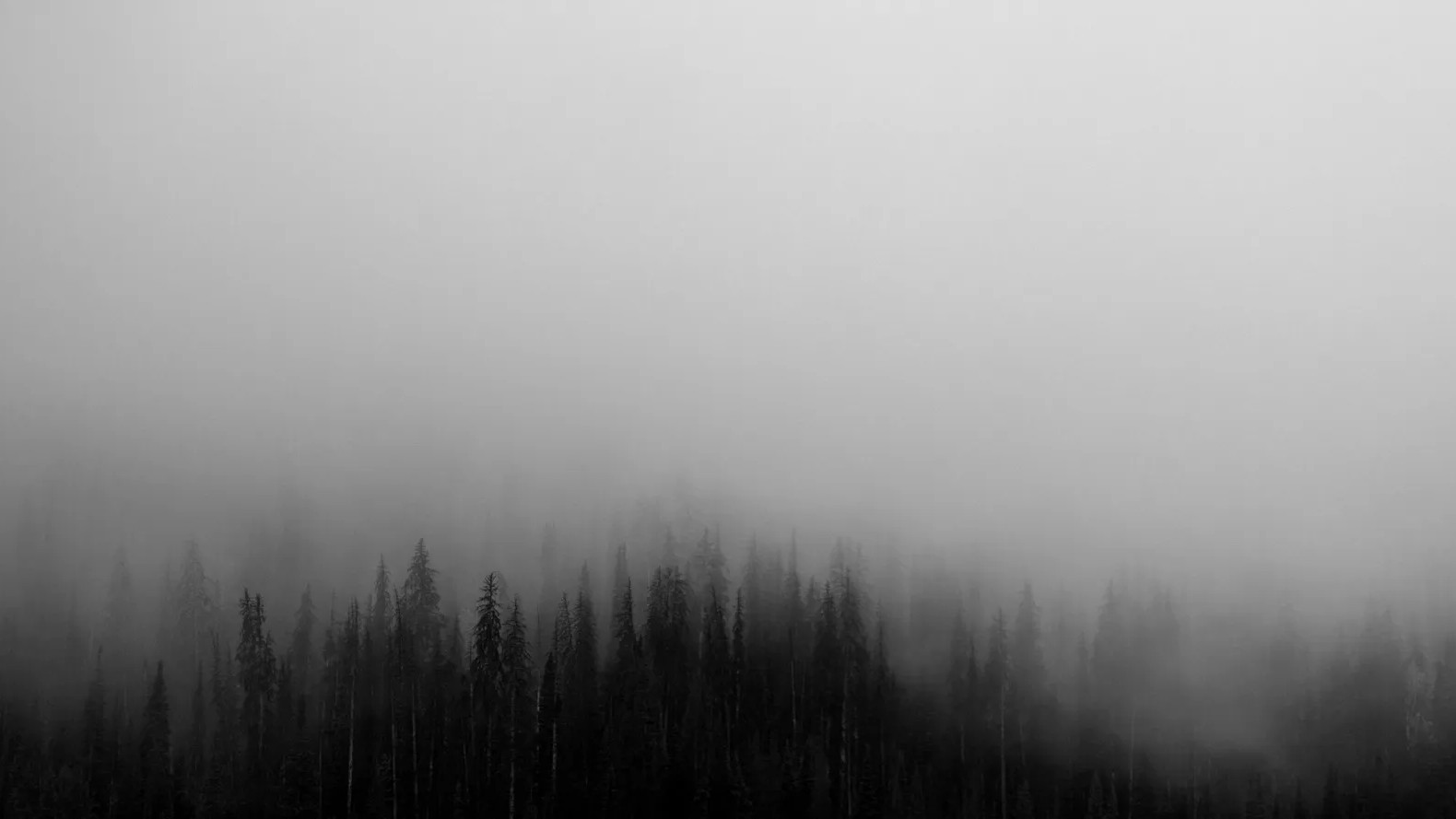 The 5 differences between fog and low clouds