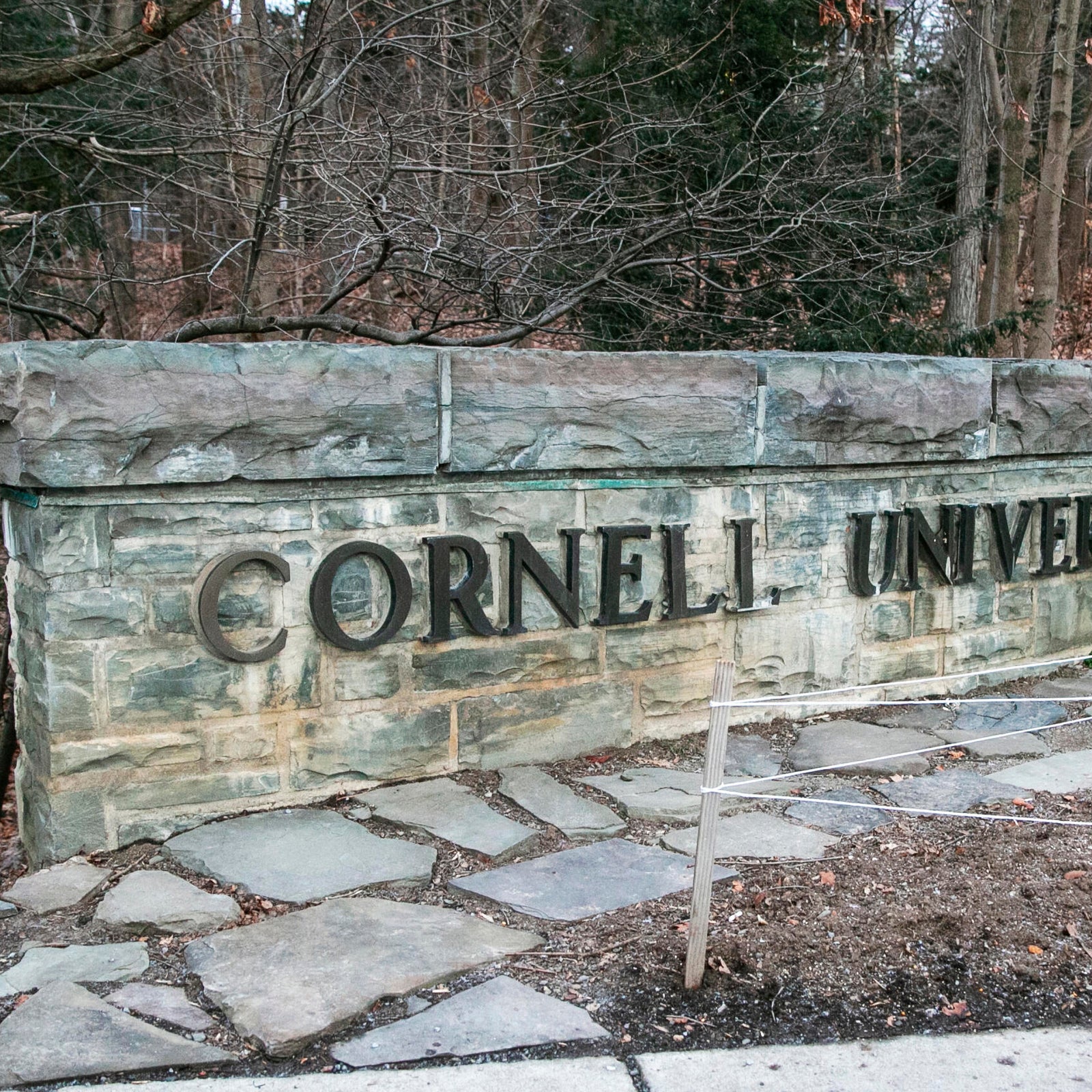 Transcript shows campus police's interview with Jane Doe in Cornell ...