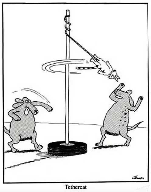 9 classic Far Side comics where cats are the worst