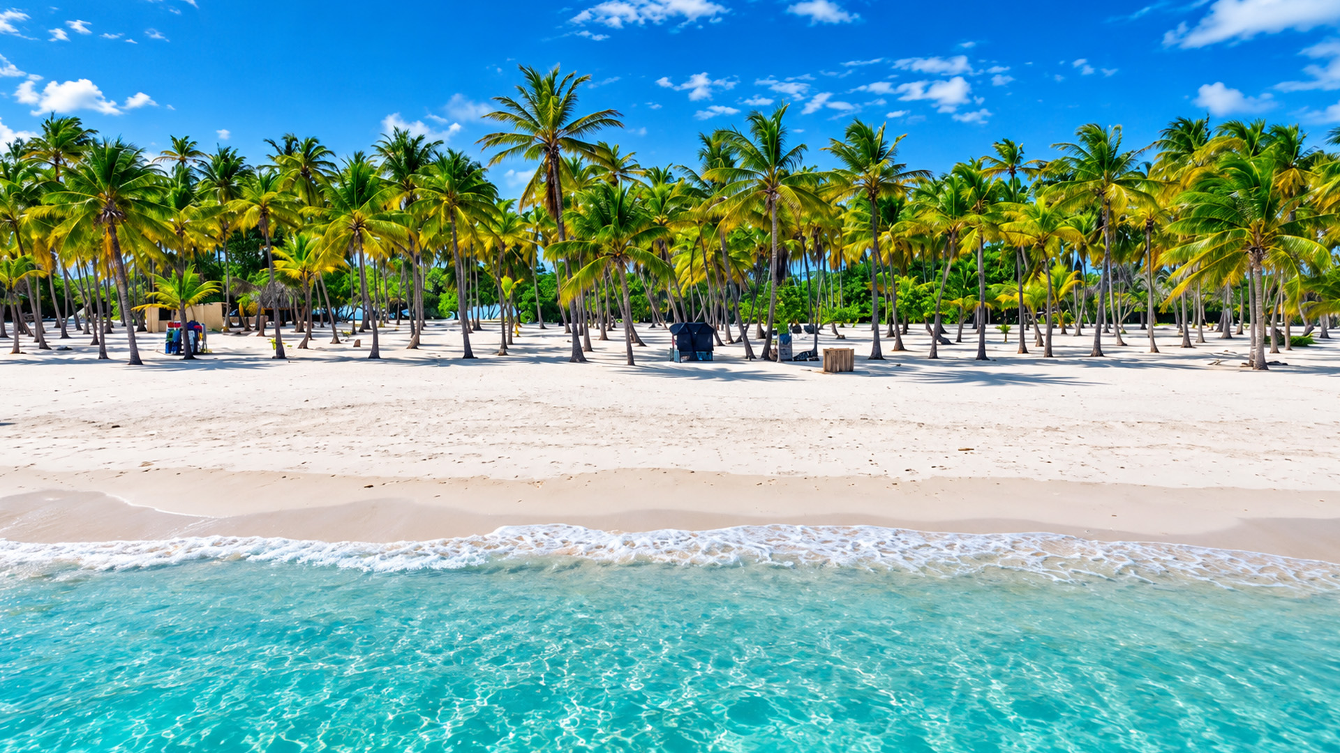 Clear Caribbean waters meet a palm lined beach