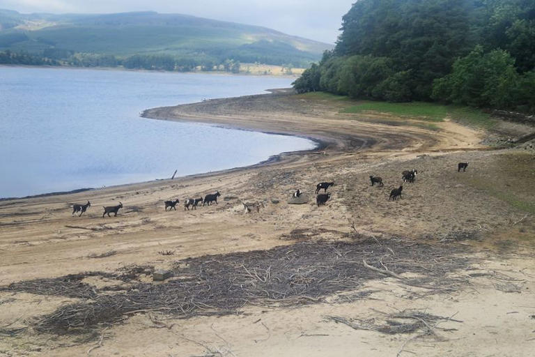 Northumbrian Water urges households to take these steps as reservoir ...