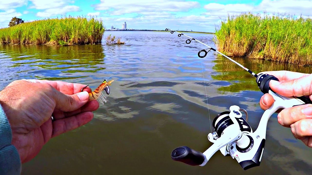Micro fishing for a new pet!