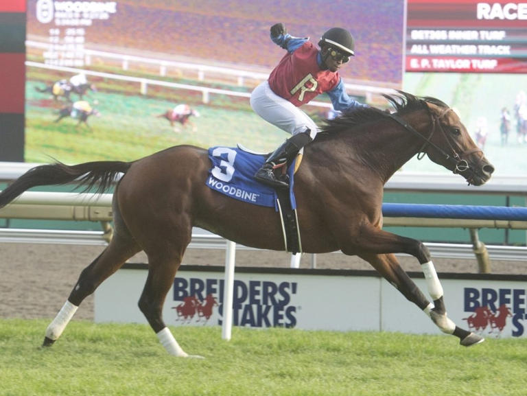 Long shot Fire and Wine takes Breeders' Stakes