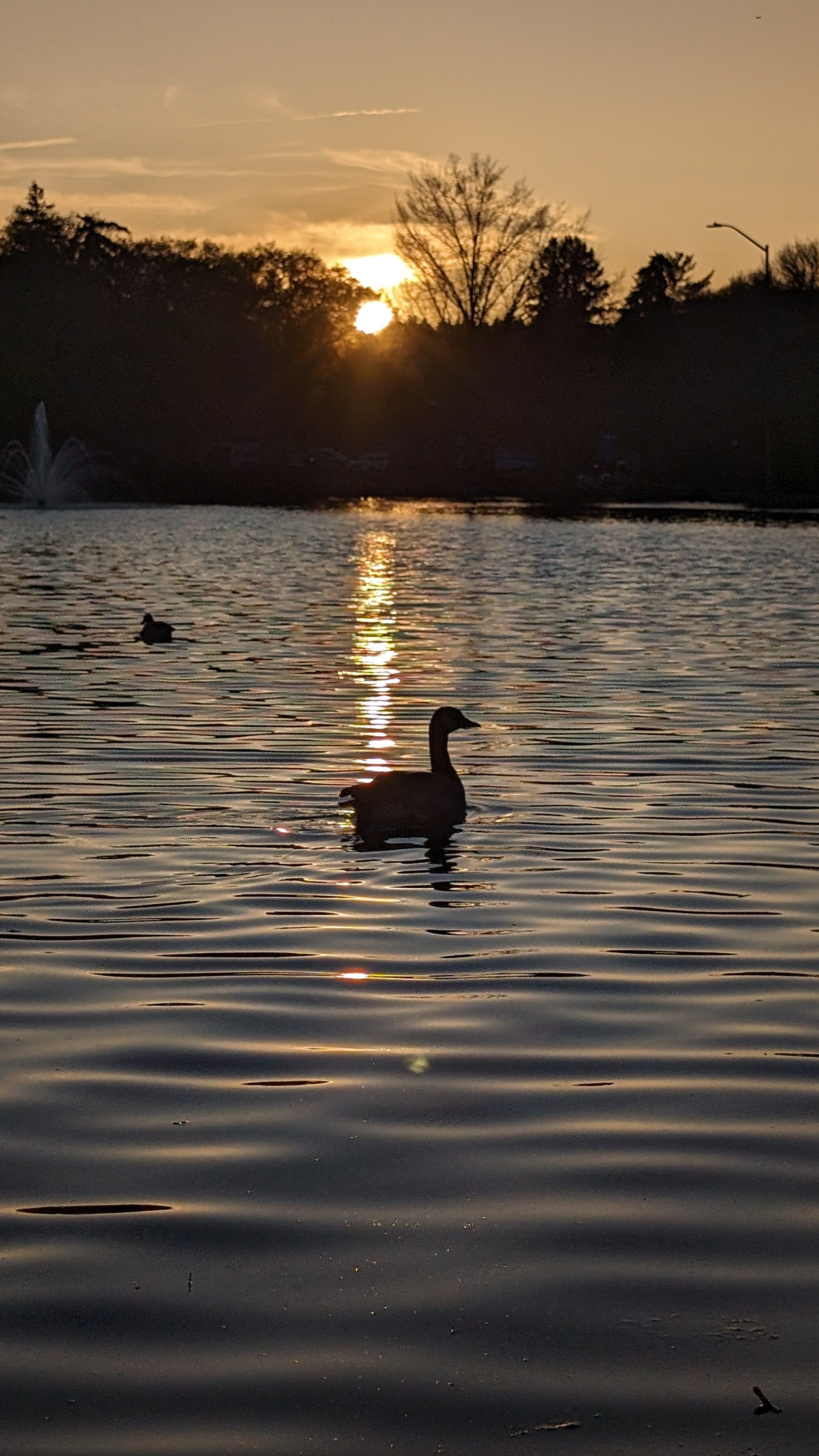 When does daylight saving time end in Nevada? See date, sunset times