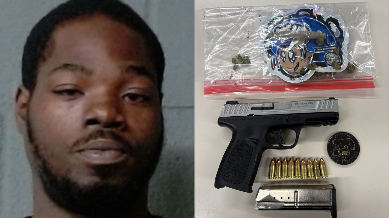 Loaded gun found after Chicago man searched for holding blunt, sheriff ...