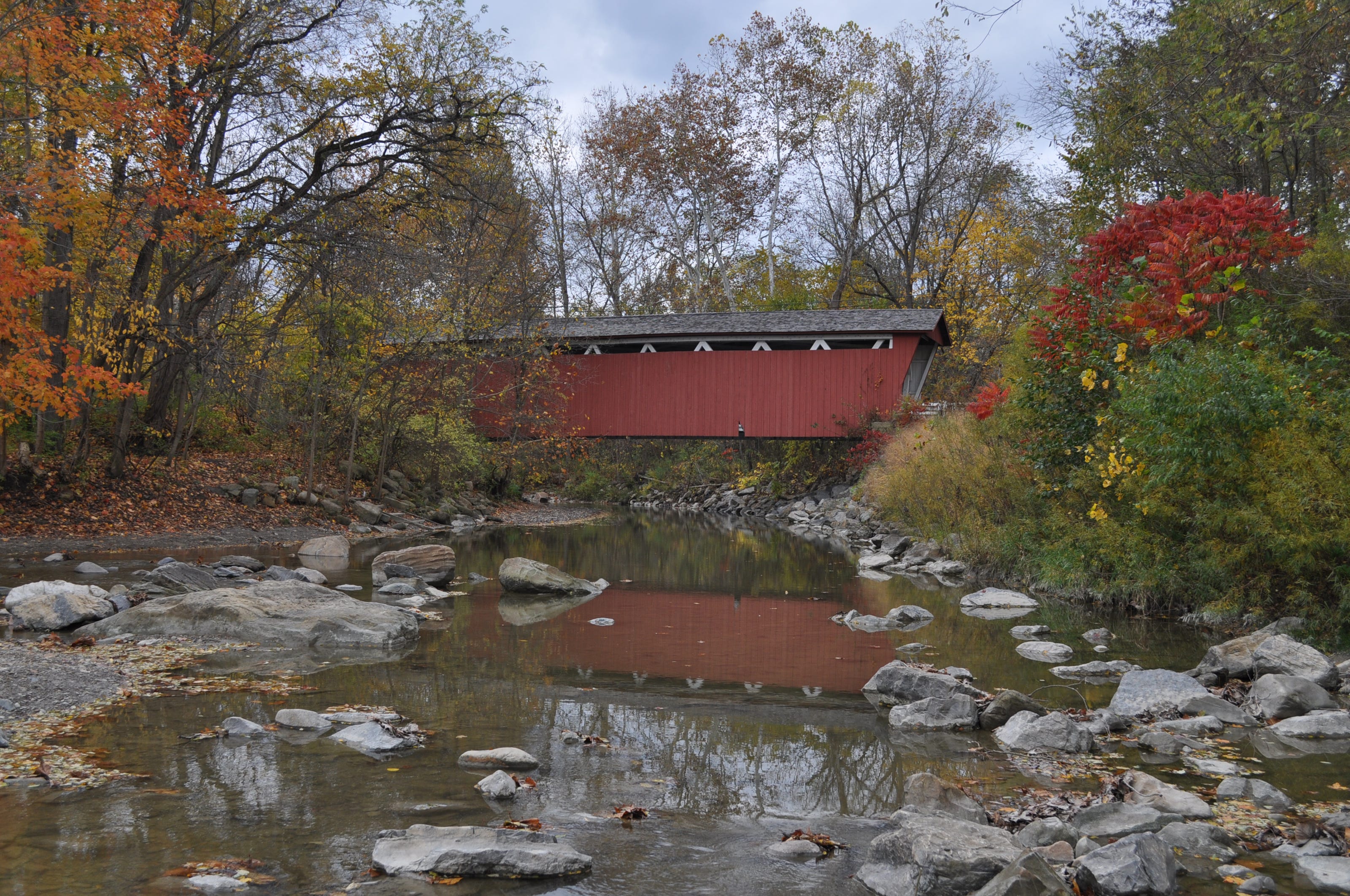 These 2 Ohio parks rank among best in nation for fall colors
