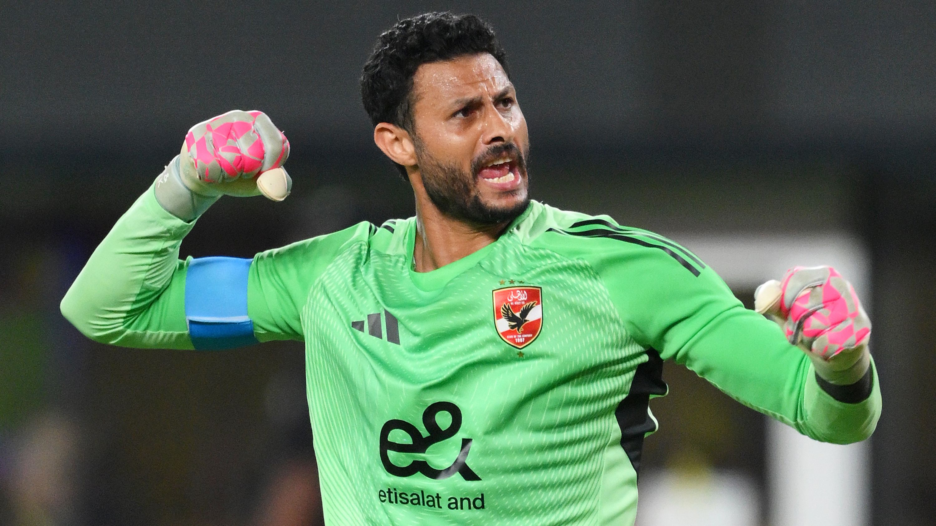 After the Hossam Hassan crisis: Al-Ahly surprises El-Shenawy with an ...