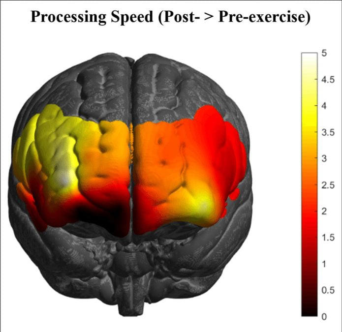 Even very slow running can benefit the brain, study suggests