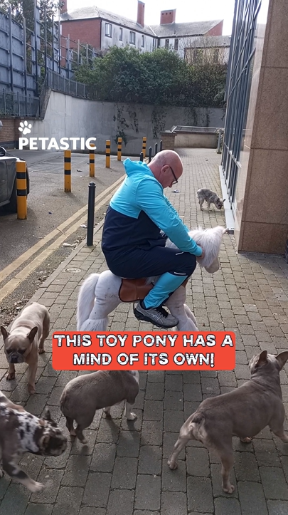 Uncontrolled toy pony ride leads to hilarious mishap