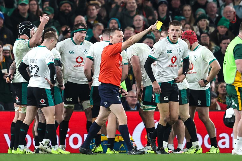 Leinster allocated controversial referee for Champions Cup opener ...