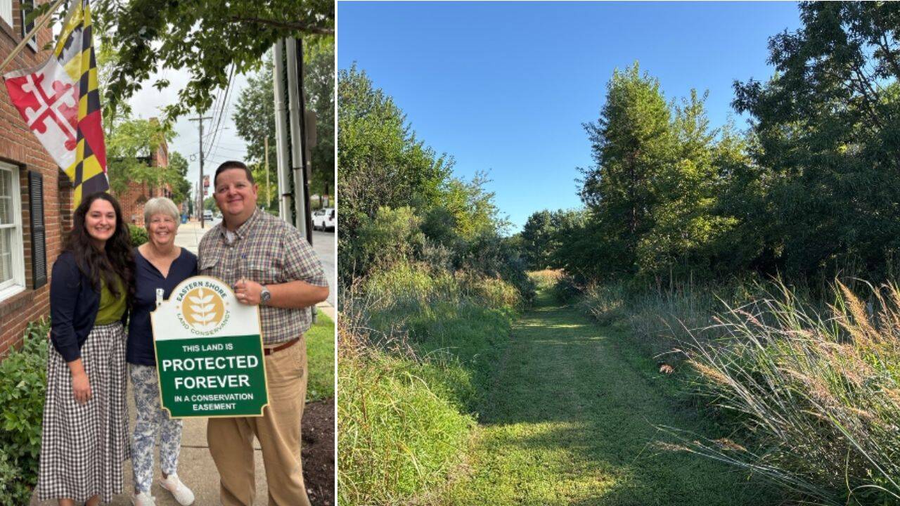 Maryland couple transforms 116-acre hunting property into a protected ...