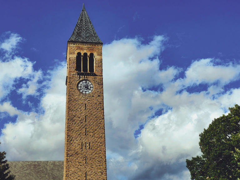 Cornell 7 accuser revealed she struggled with self-harm weeks before ...