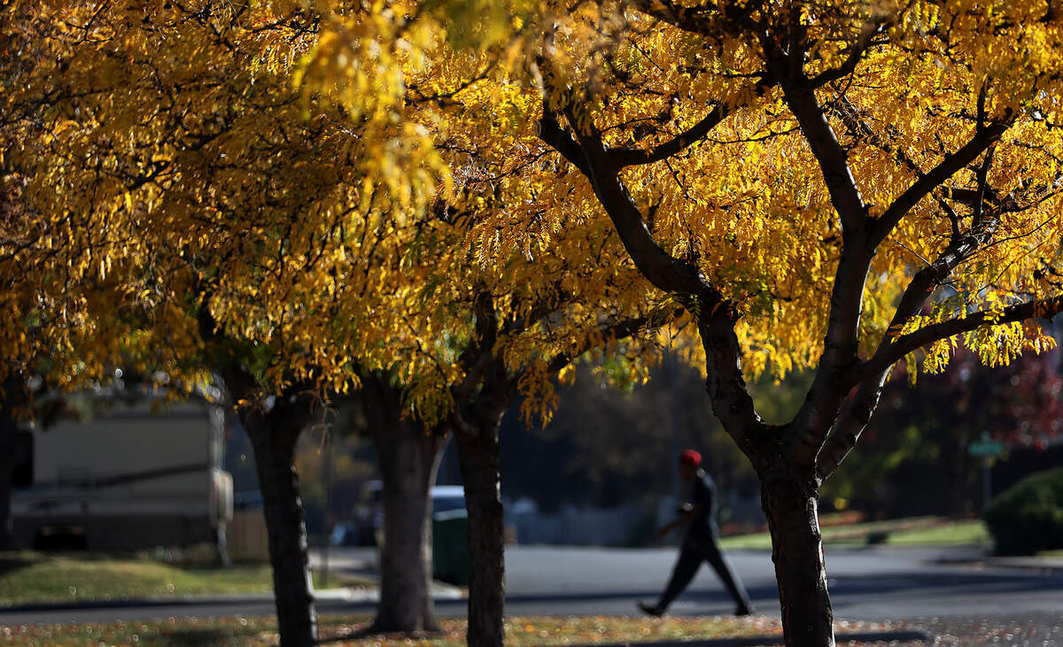 When are fall leaves at their peak in Eastern WA? See top times for ...