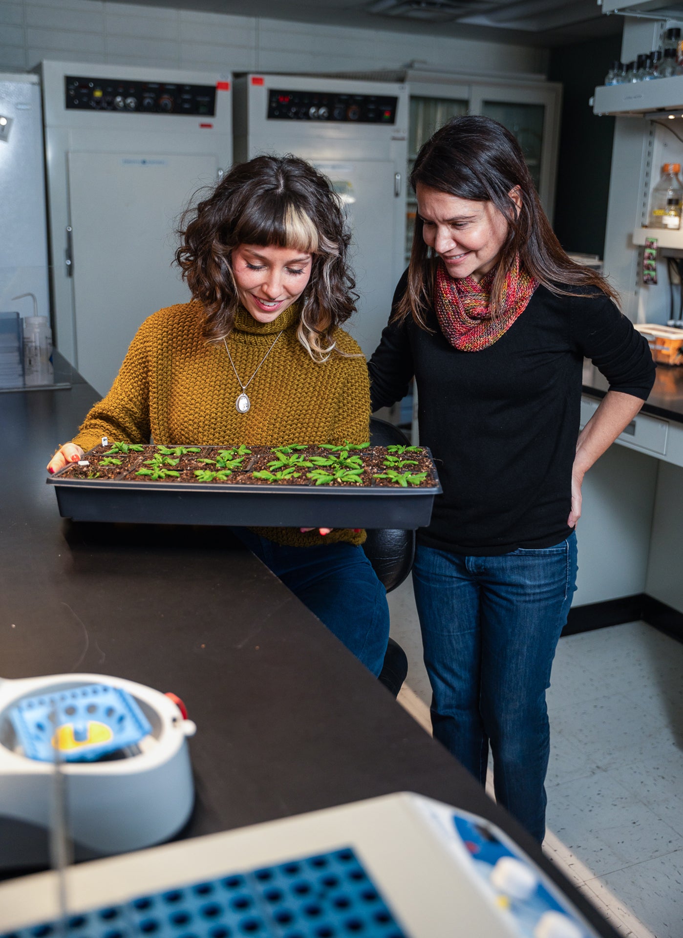 Scientists find a way to boost plant growth without sacrificing immunity