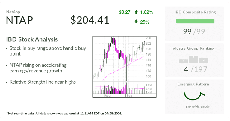 IBD stock of the day: NetApp's AI-powered rally faces next test