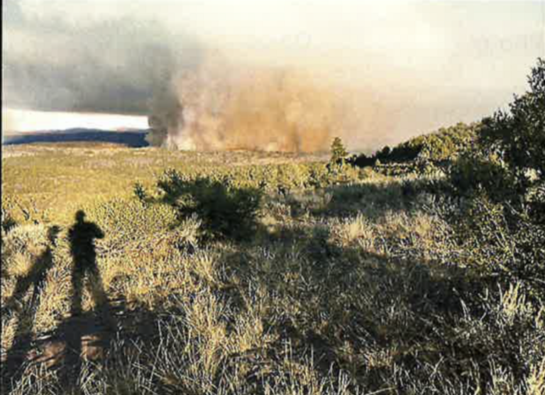 Investigation ties Forest Service leader Michael Boren to $1M Idaho ...