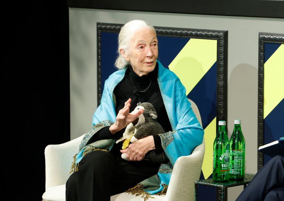 Jane Goodall’s lasting lessons for our planet