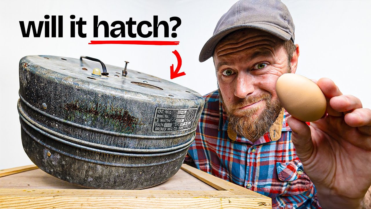 Will this 50 year old incubator still hatch eggs?