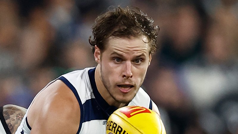 Cats flag hero set to retire after bombshell concussion waiver saga