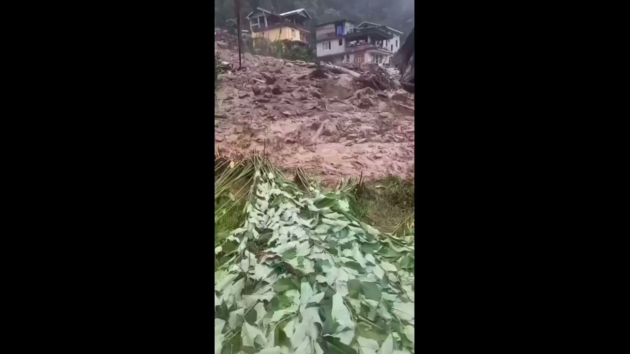 Landslide unleashes torrent of mud & trees on Indian village