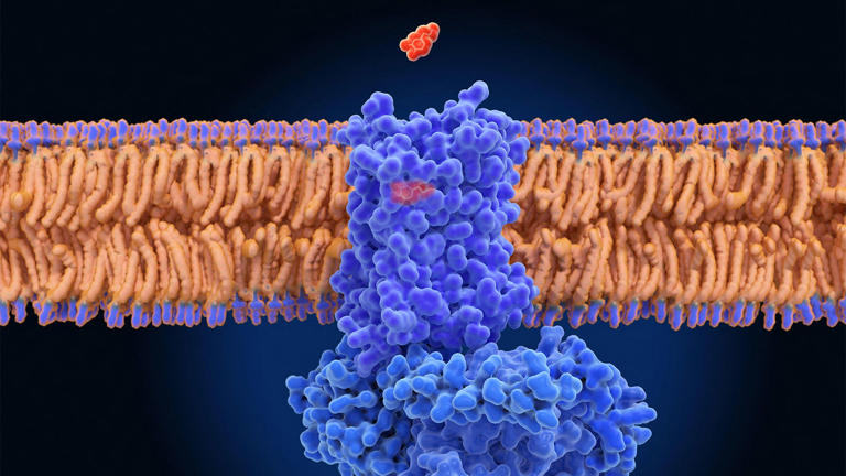 Parkinson's disease gets new treatment approved