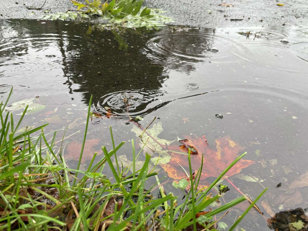 More than 17 Connecticut communities got over a half-inch of rain. See ...