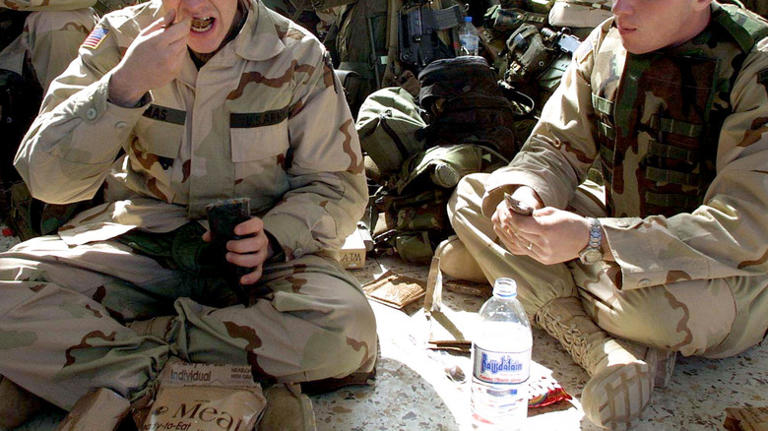 How US Army technology led McDonald's to create the McRib