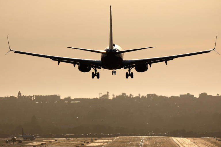 New glitch discovered in Boeing 737 MAX software prompts safety ...