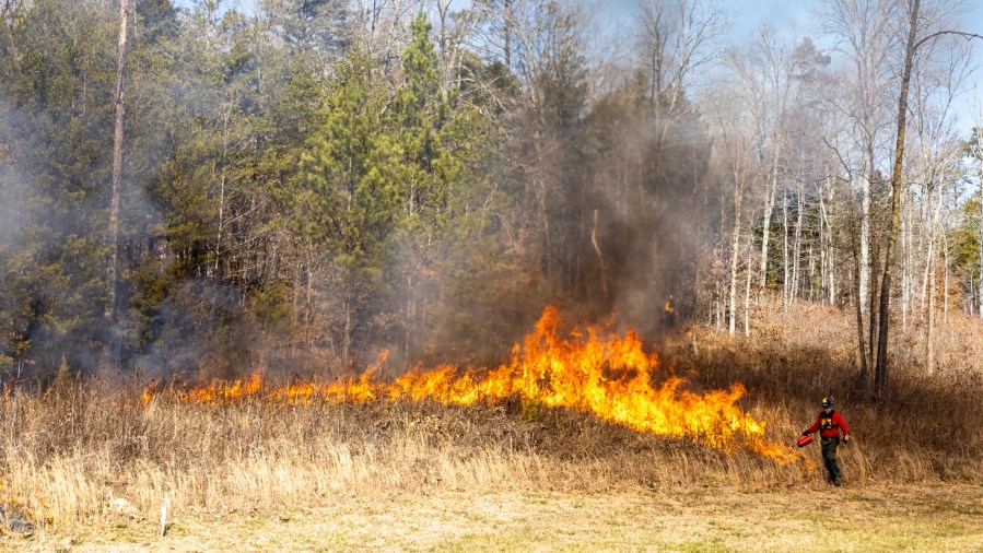 Controlled burns scheduled on Oak Ridge Reservation