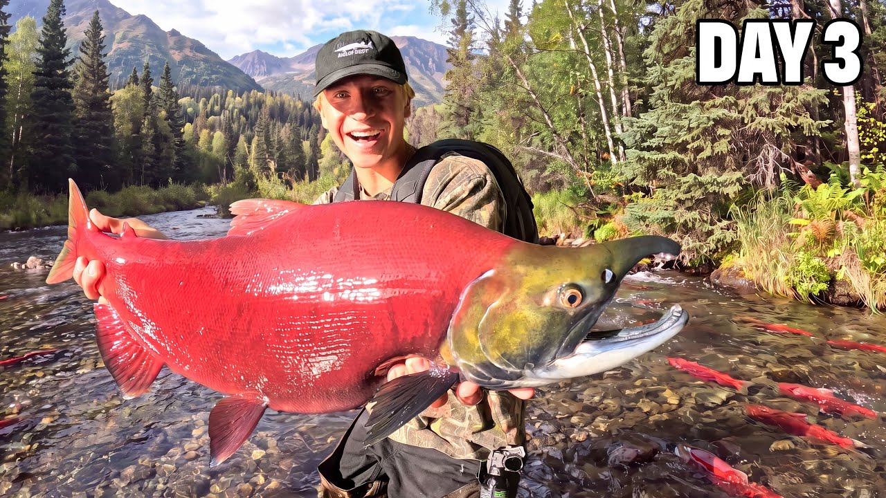 3 days fishing Alaska - sockeye salmon, hiking & exploring
