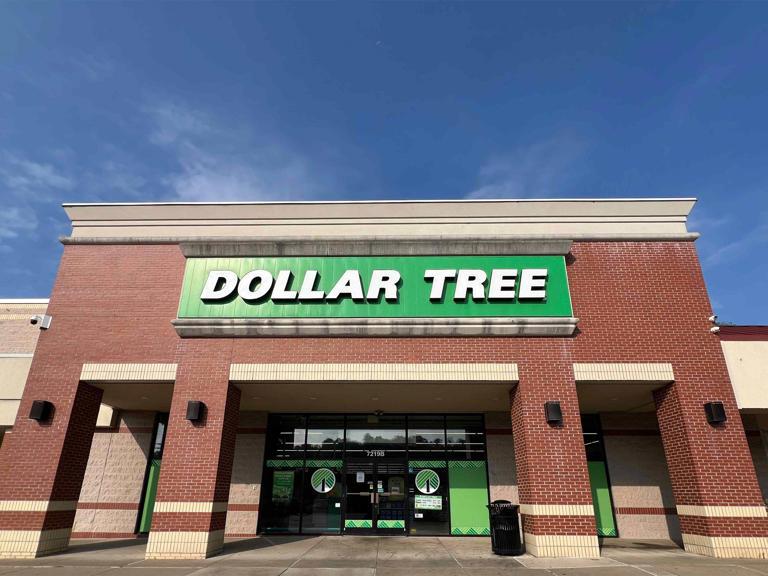 The $1.50 Dollar Tree Find That Saves Me So Much Money