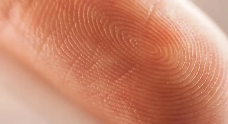 Scientists still baffled: Why did we evolve fingerprints — and what are ...