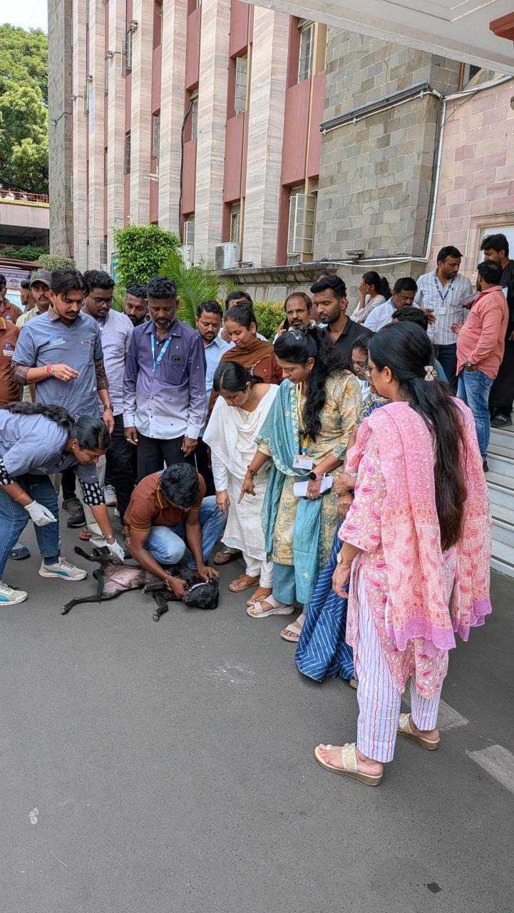 PMC launches vaccination drive on World Rabies Day, aims to boost ...