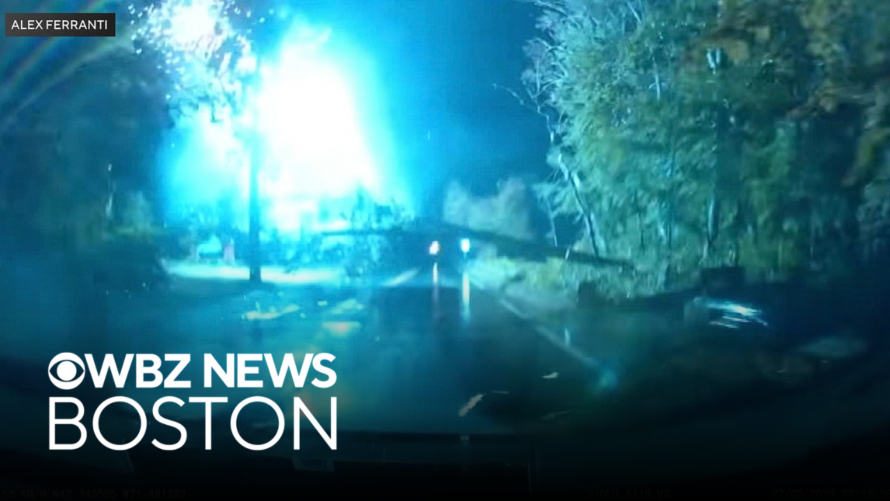 Mass. delivery driver's dash cam captures tree falling, explosion ...