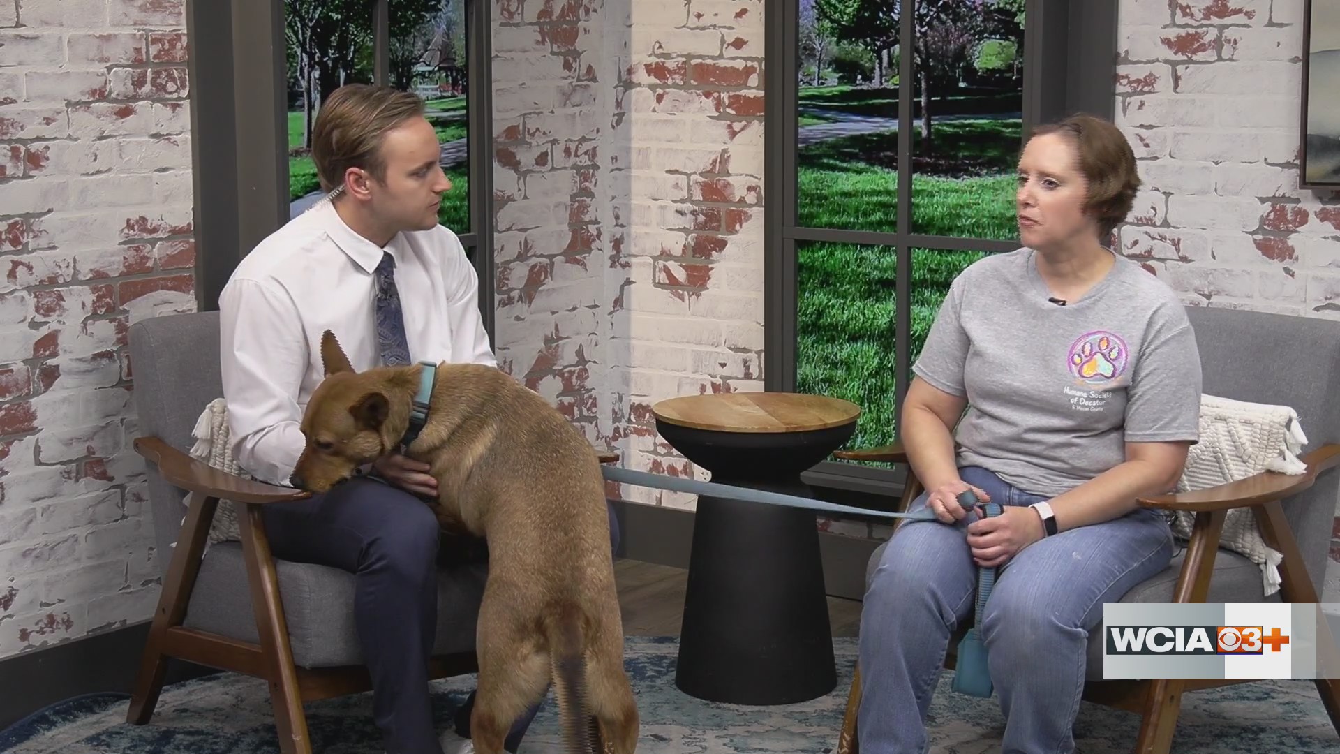 Pet on the set | Decatur Humane Society