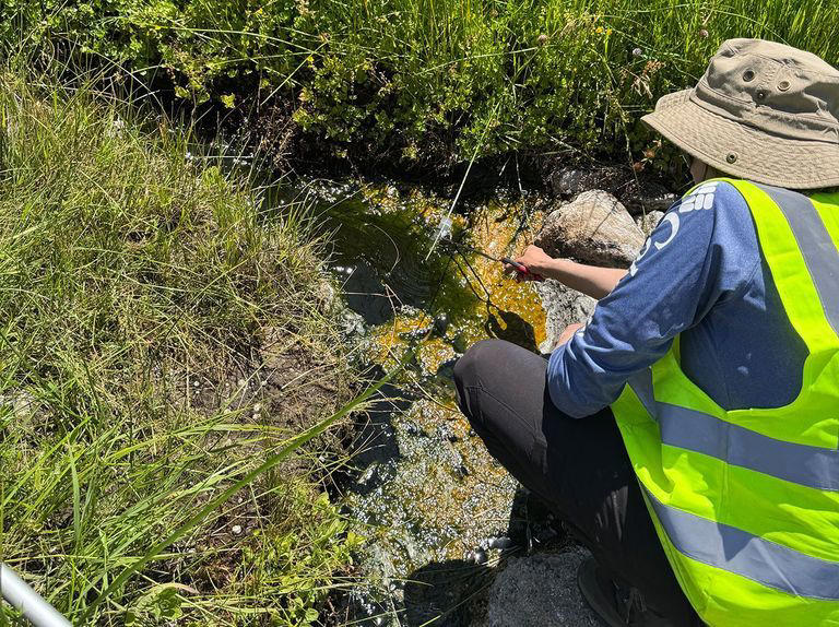Meet the 'fire amoeba,' a newfound blobby organism that's defying ...