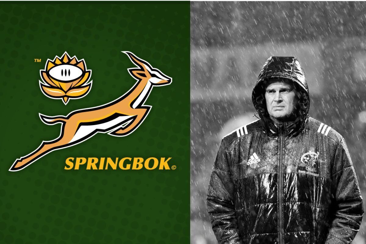‘We deserved to lose’: Reactions to Springboks shocked by Wallabies
